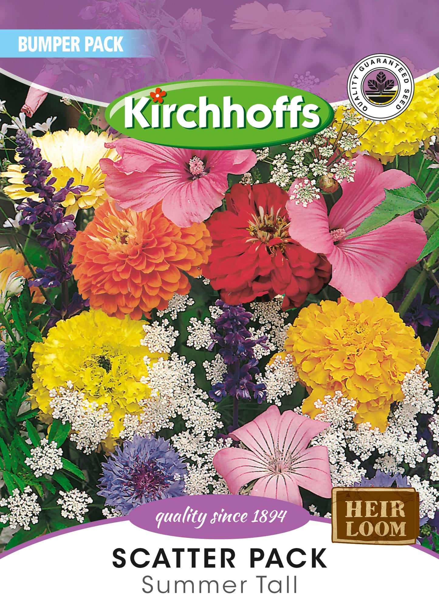 Summer Colour Patch Tall Seed