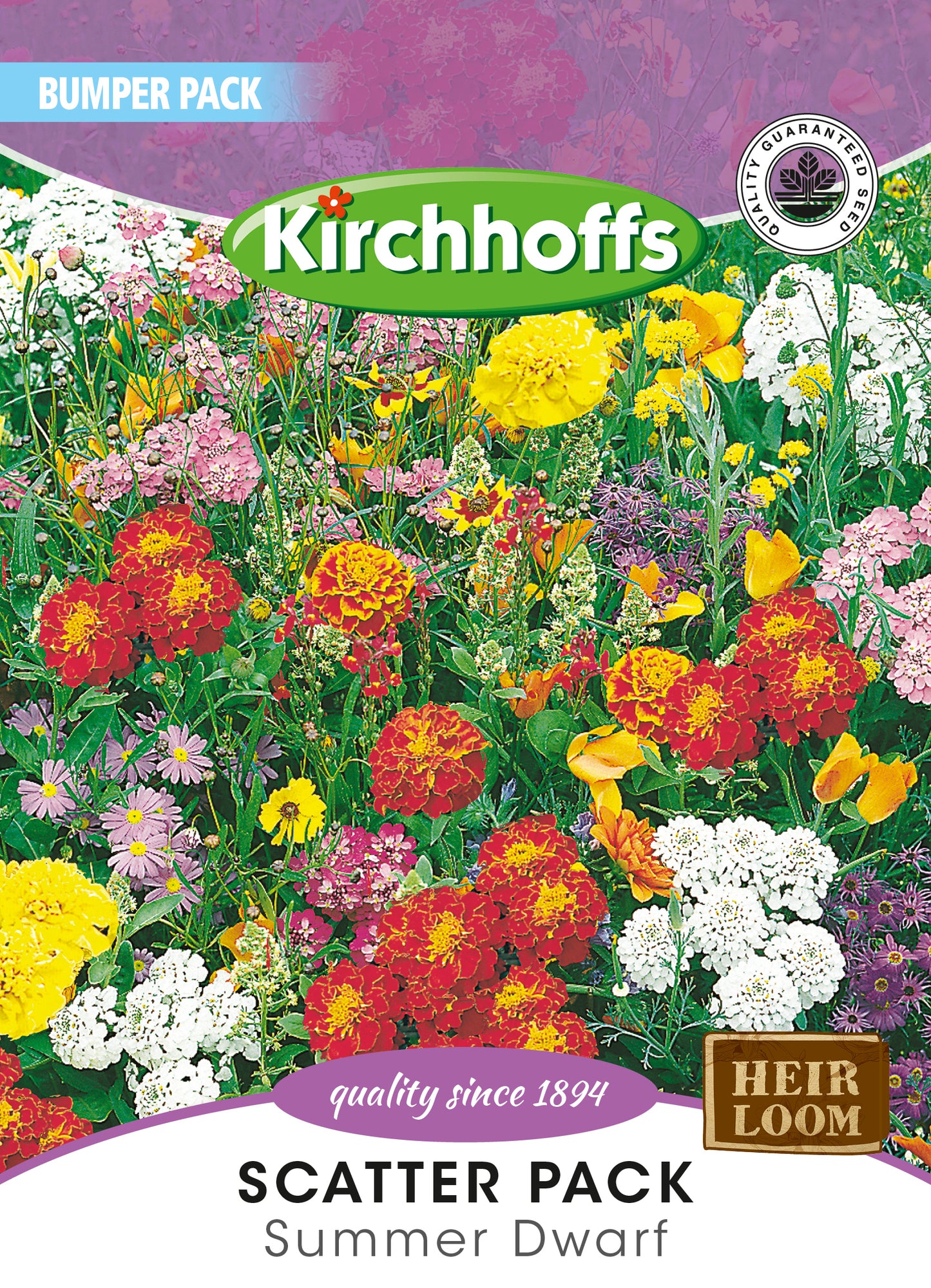 Summer Colour Patch Dwarf Seed