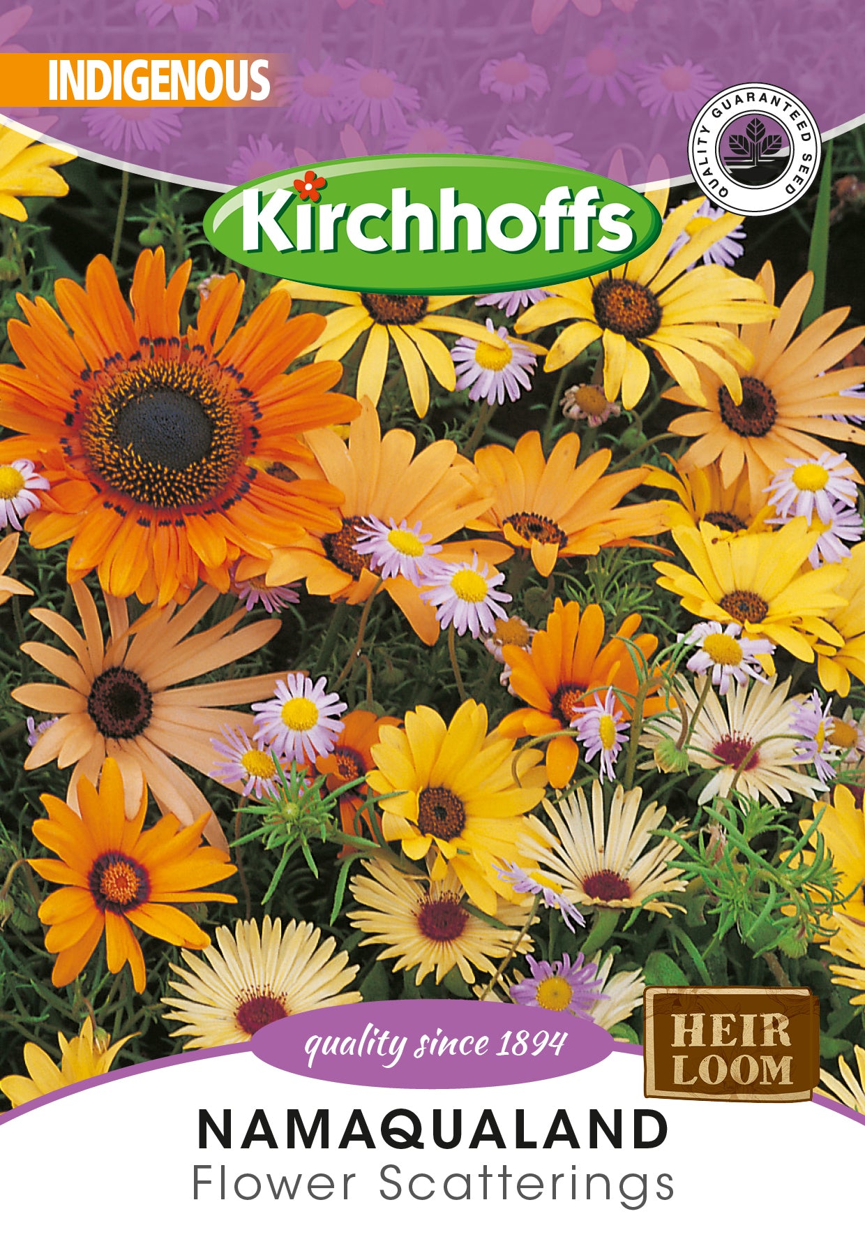 Namaqualand Flower Mix