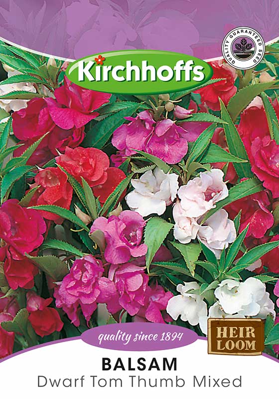 Balsam Tom Thumb Mixed