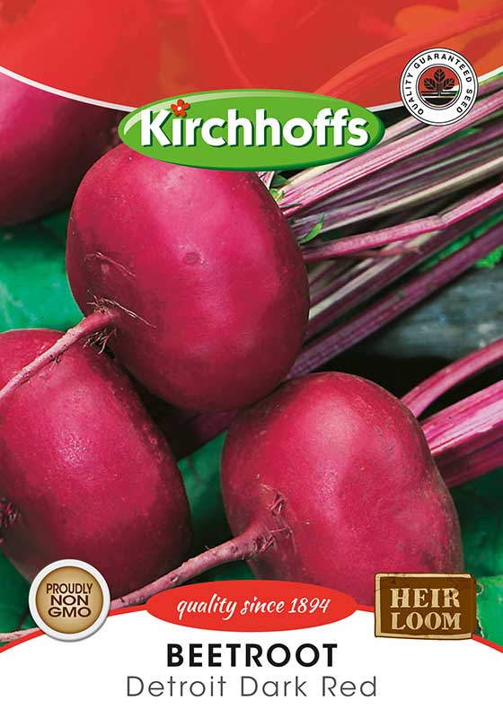 Beetroot Detroit Dark Red