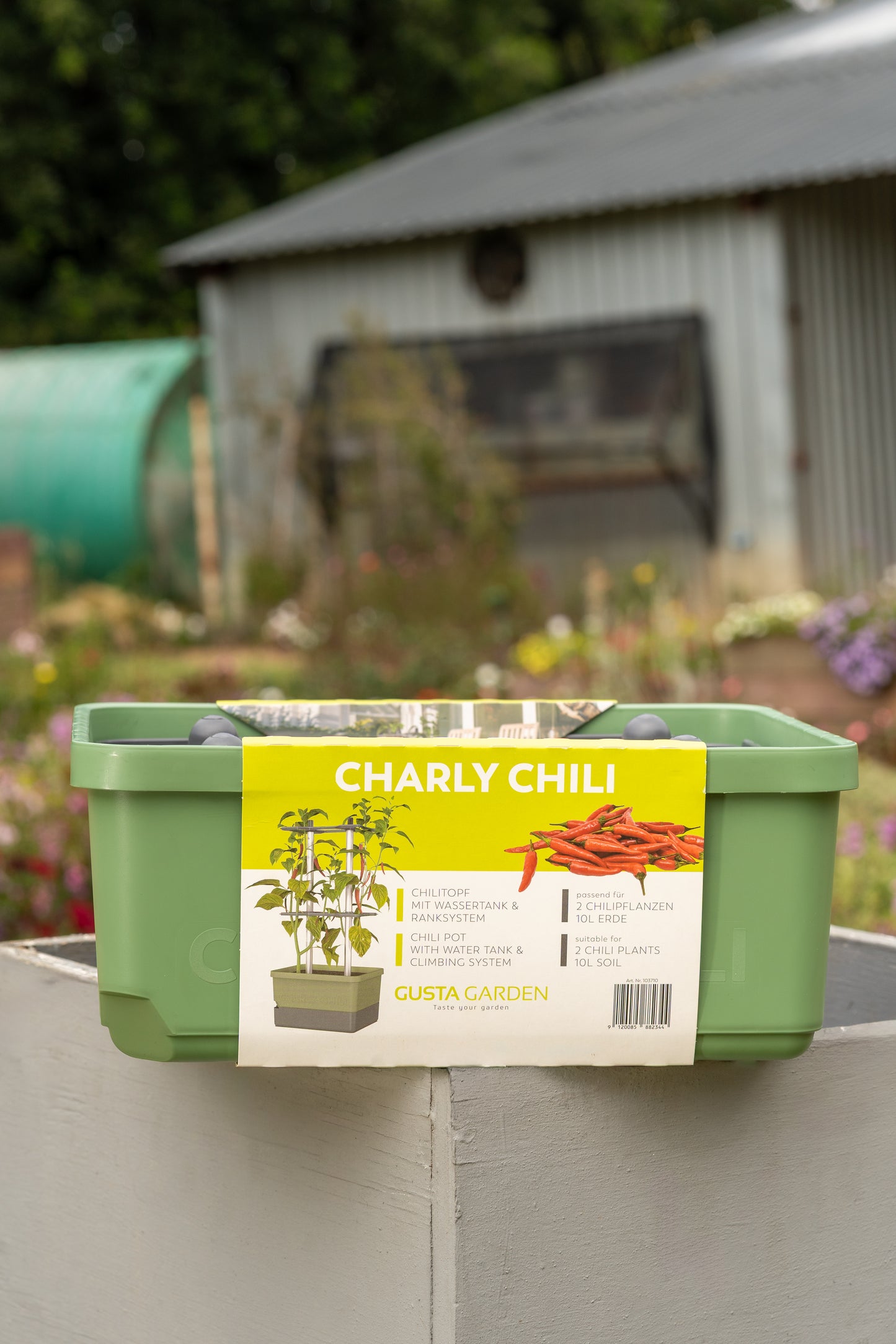 Gusta Charly Chilli Planter