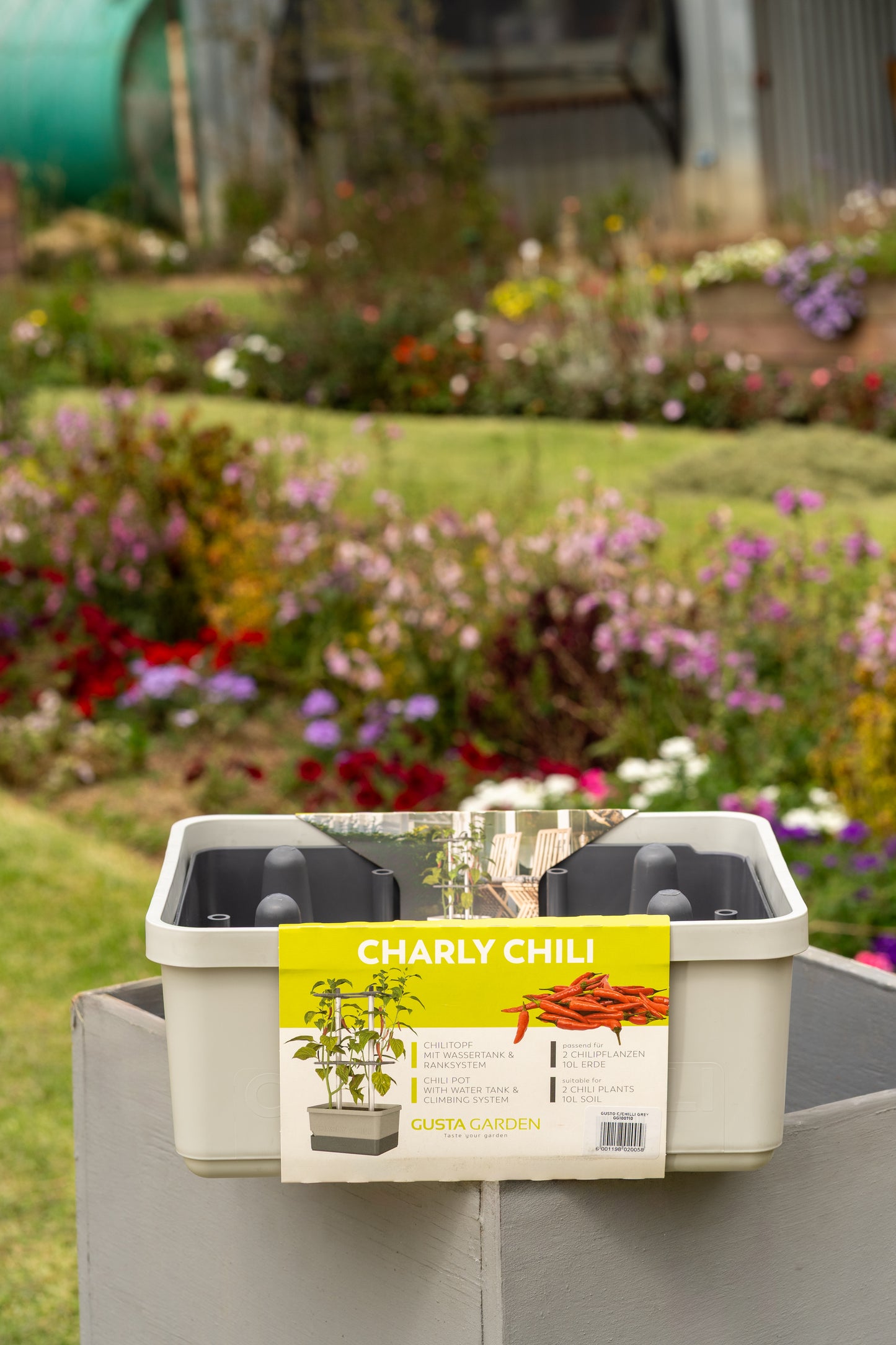 Gusta Charly Chilli Planter