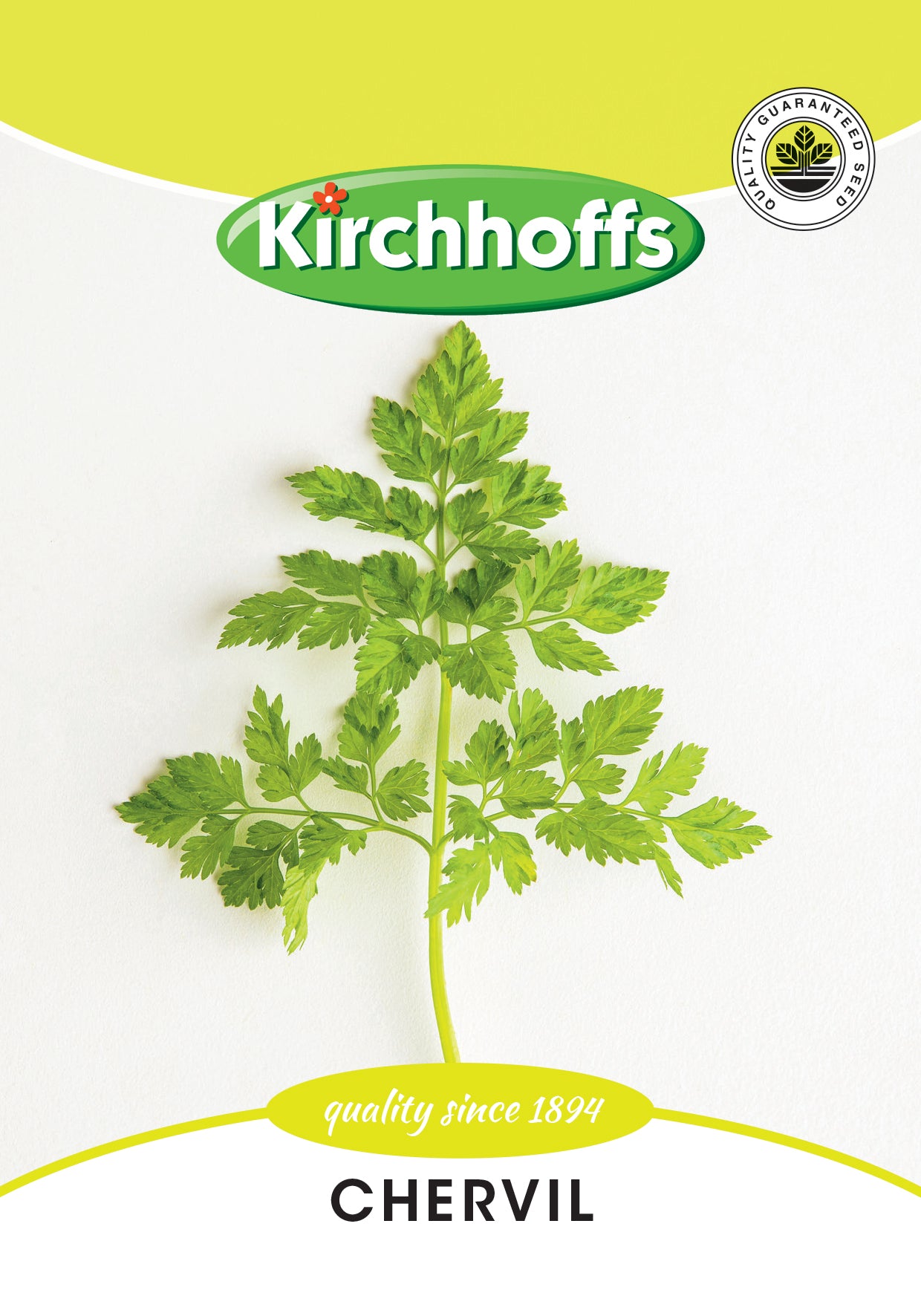 Chervil