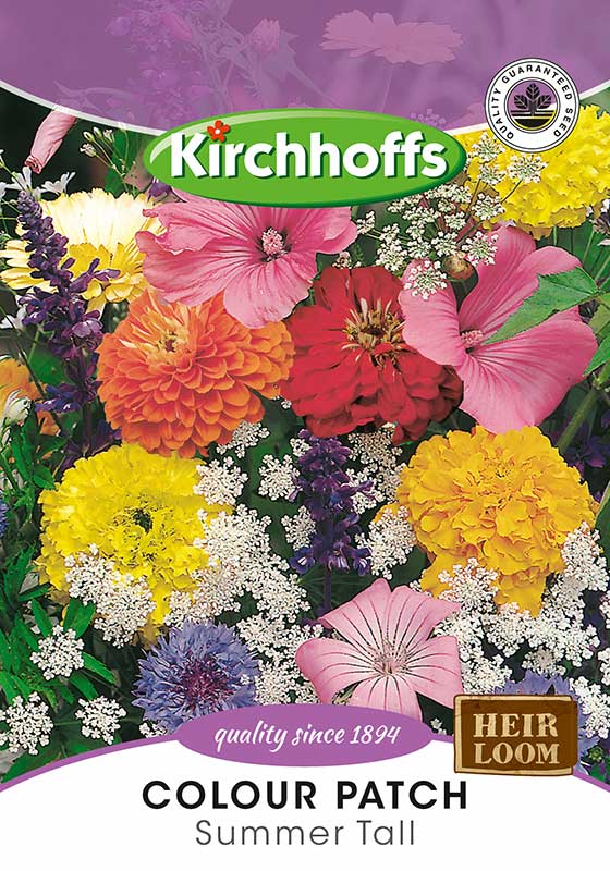 Colour Patch Summer Tall