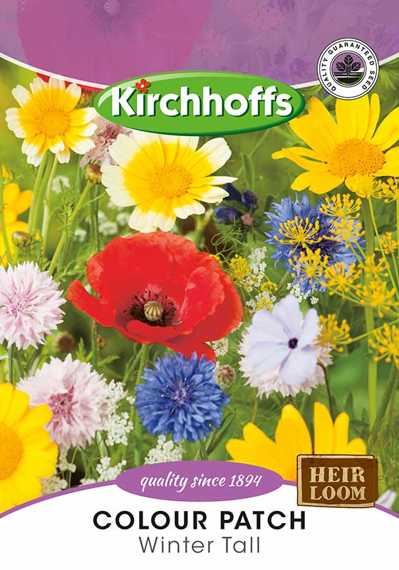 Colour Patch Winter Tall