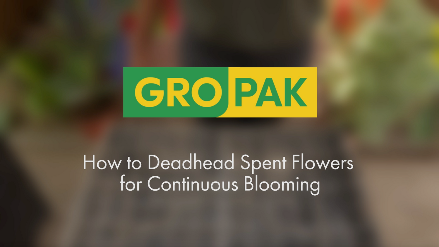 Seed Forms Available – Seed Reference Guide –Gro-Pak