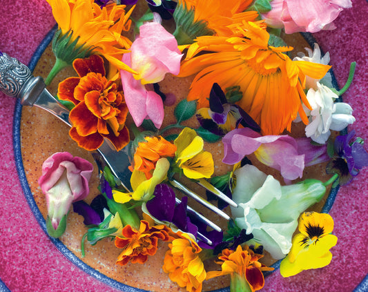 Edible Flowers and Herb Mix Pixture 