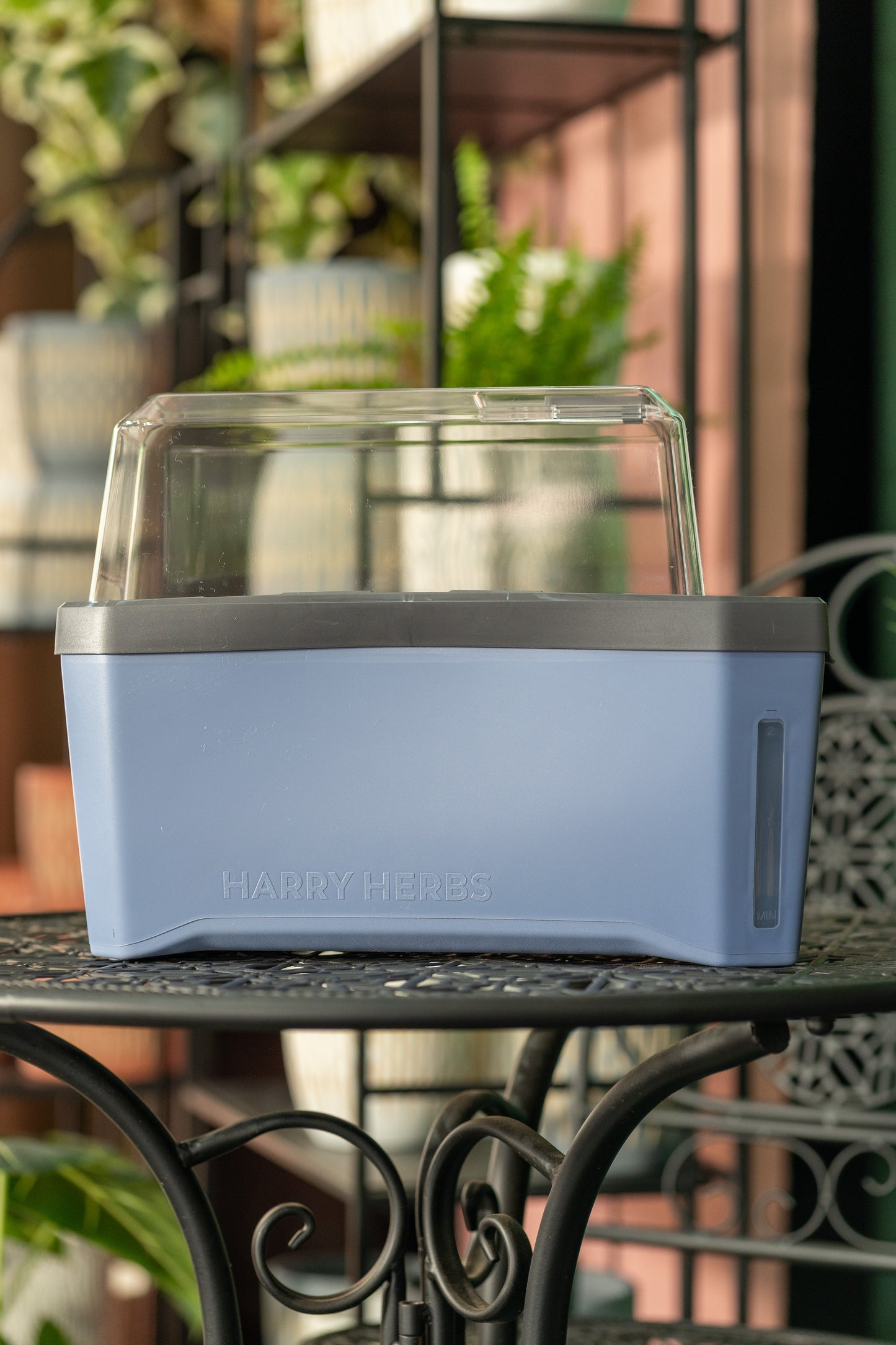 Gusta Harry Herbs Planter