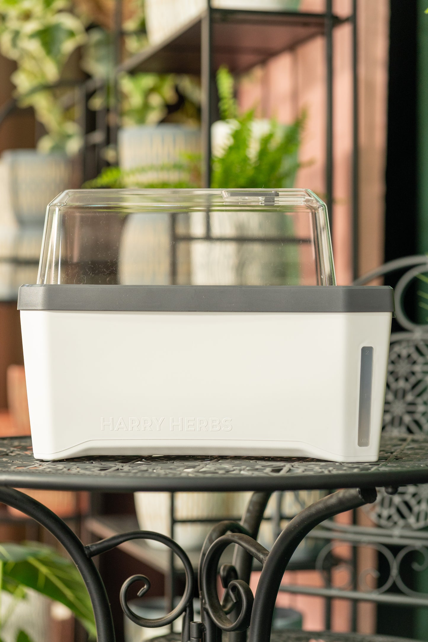 Gusta Harry Herbs Planter