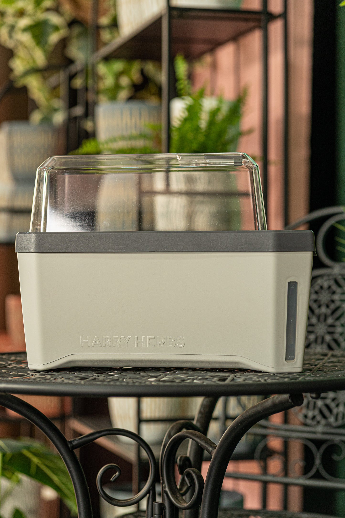 Gusta Harry Herbs Planter
