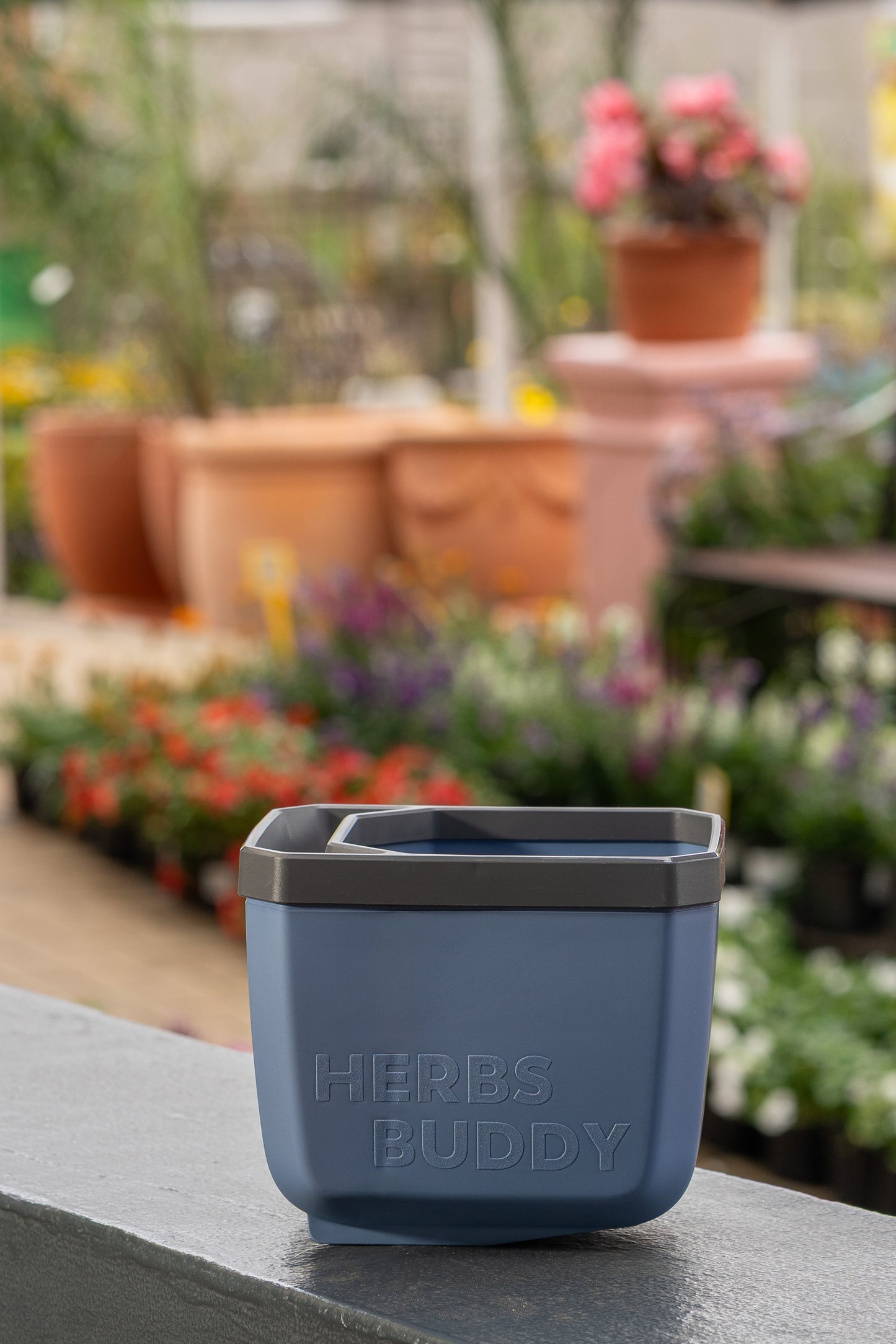Gusta Herbs Buddy Planter