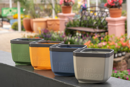 Gusta Herbs Buddy Planter