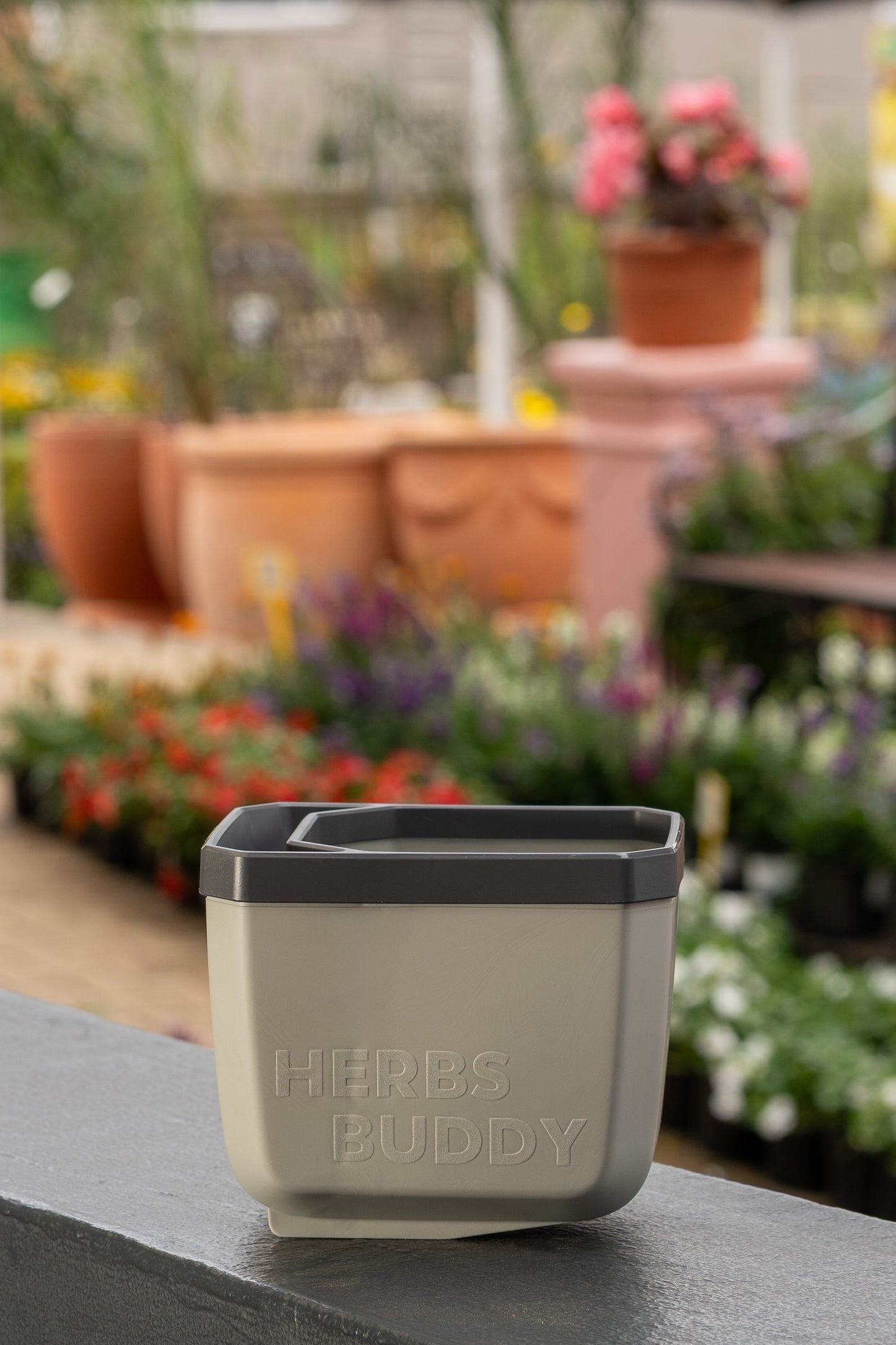Gusta Herbs Buddy Planter