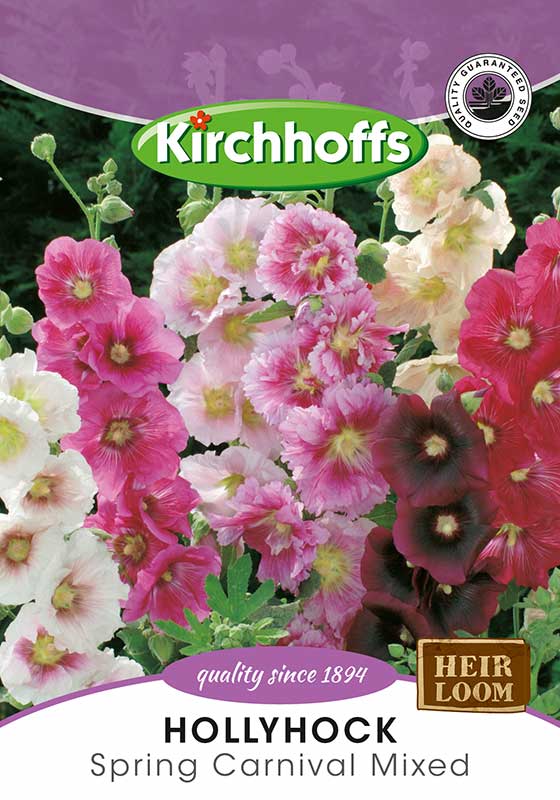 Hollyhock Spring Carnival Mixe