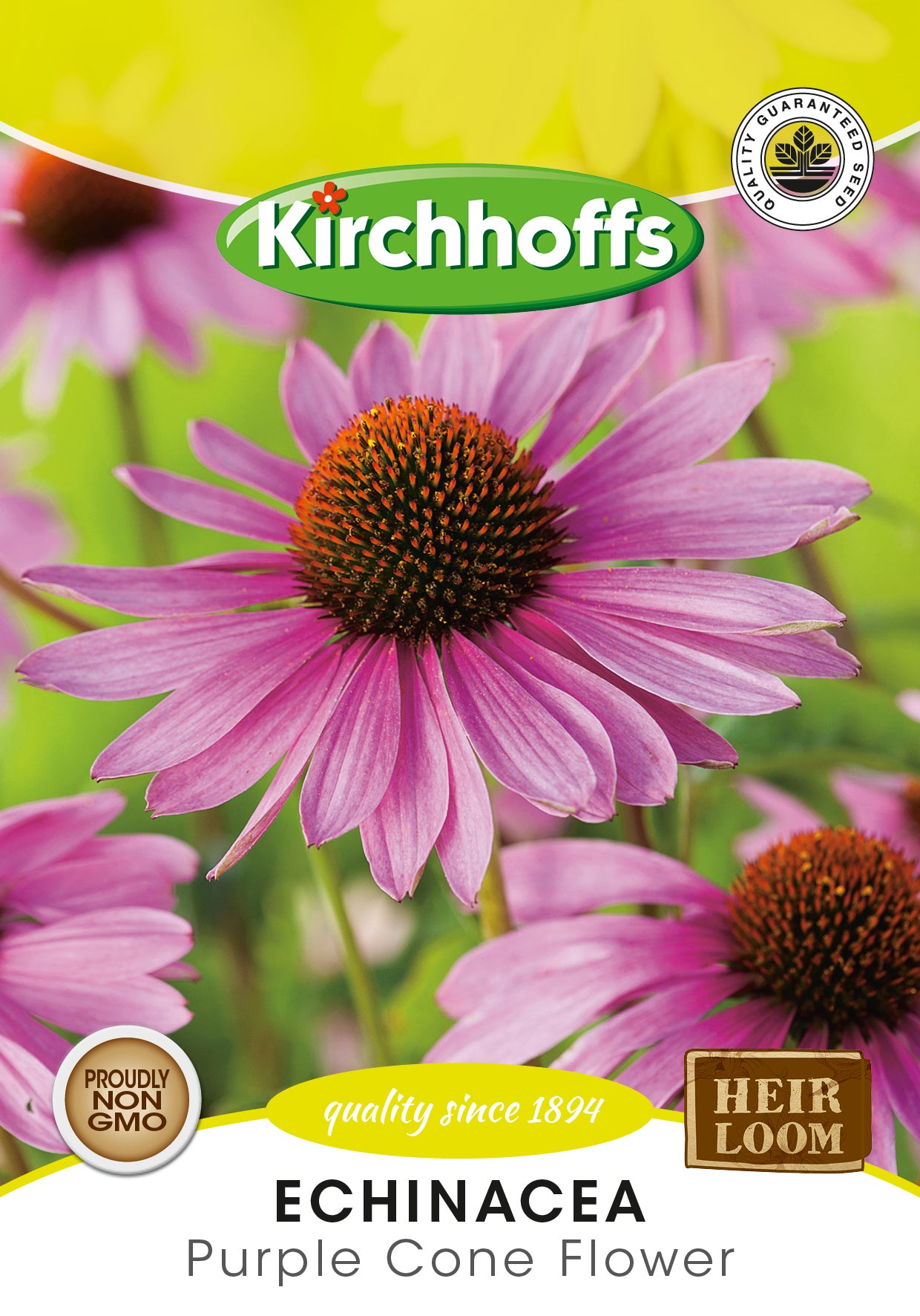 Echinacea Purple Cone Flower Seed