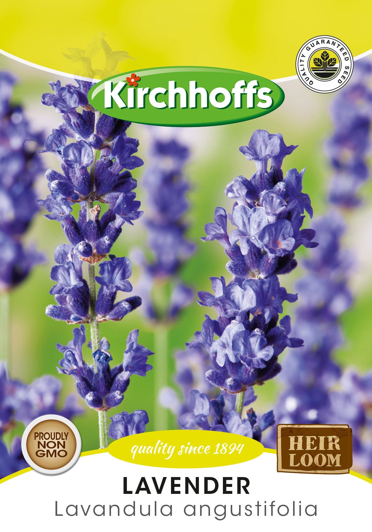 Lavender True Lavender Seed