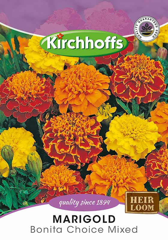 Marigold Bonita Mixed