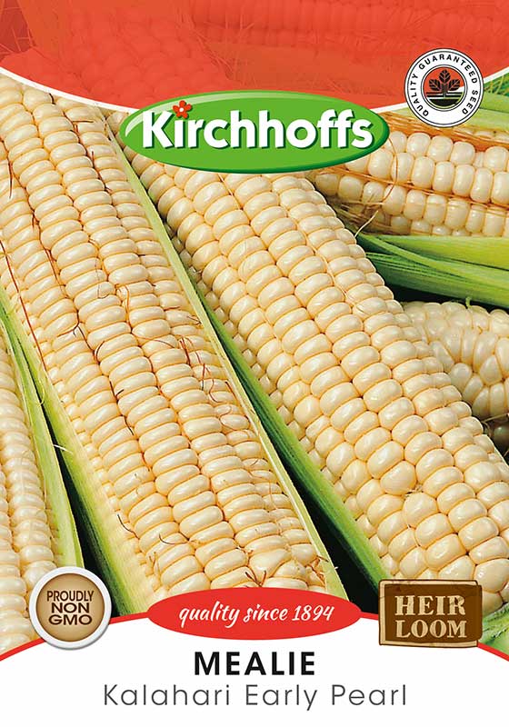 Mealies Kalahari Early Pearl