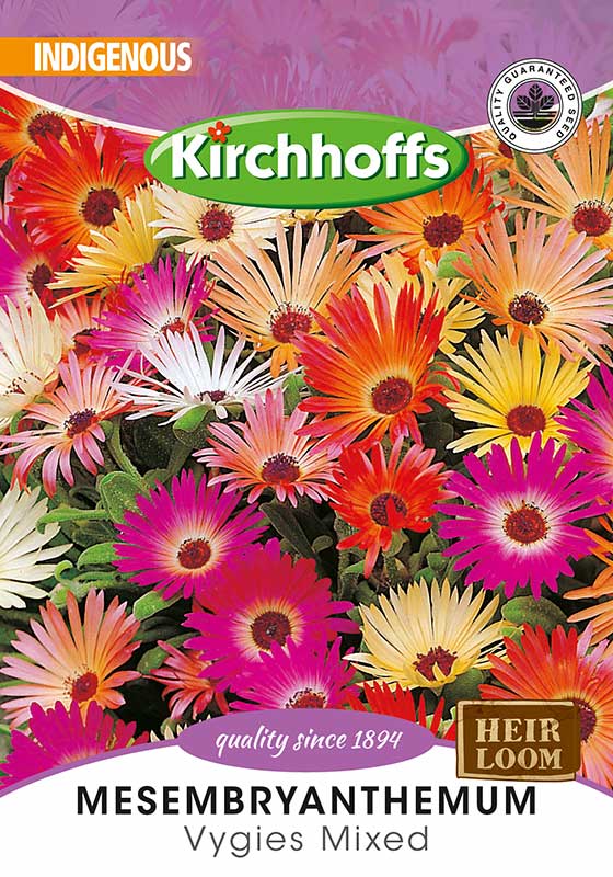 Mesembryanthemum Mix