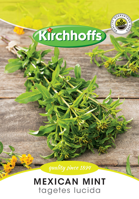 Marigold Mexican Mint