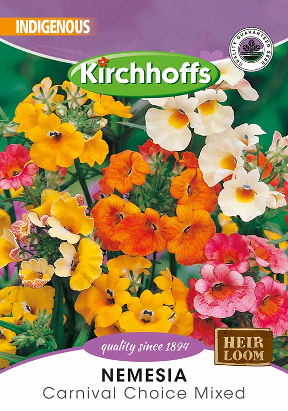 Nemesia Carnival Choice Mixed