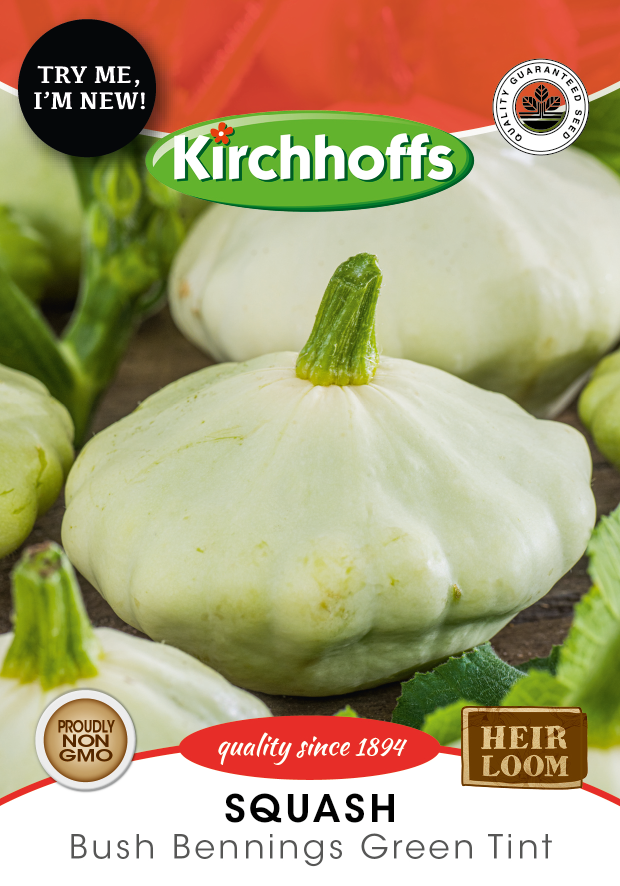 Squash Bennings Green Tint