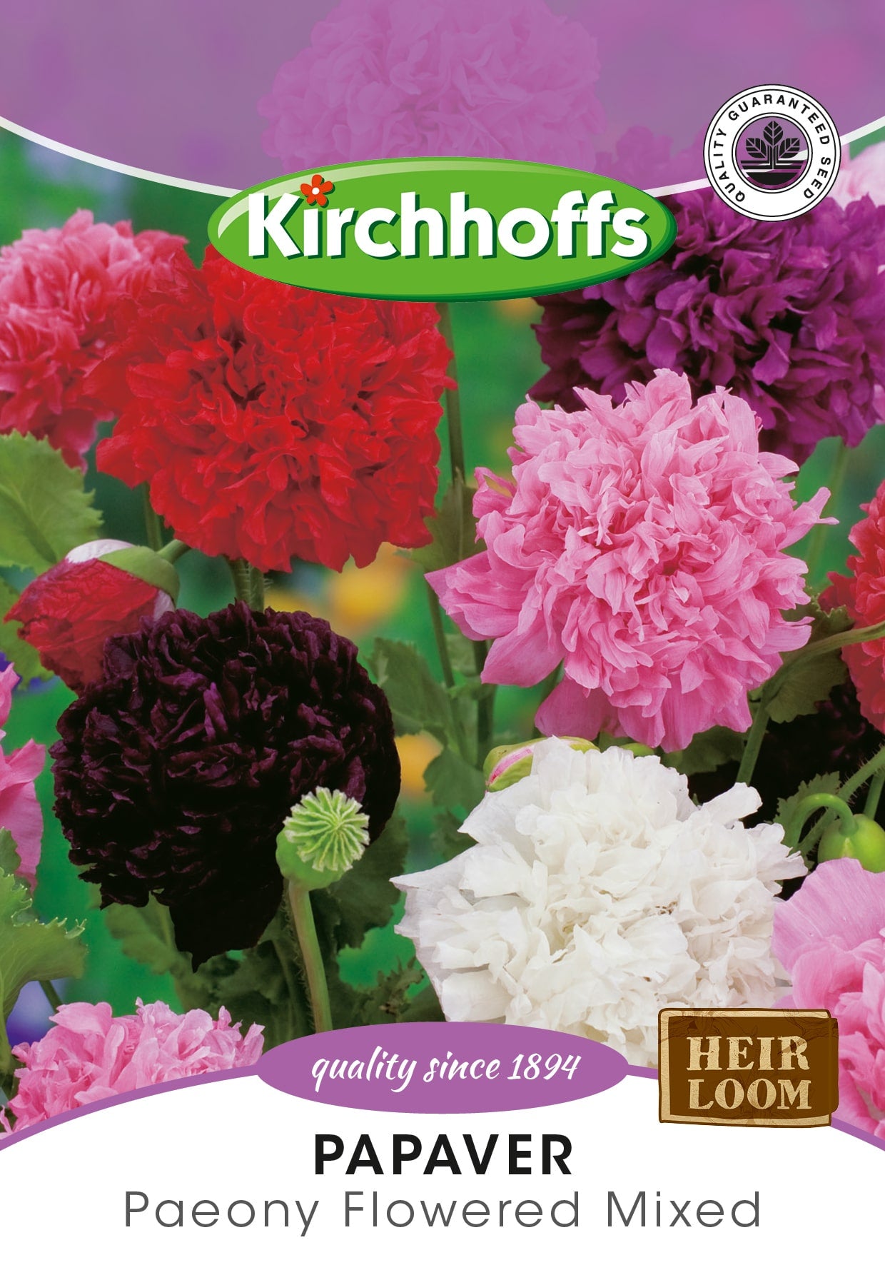 Papaver Paeony Flowered Mixed