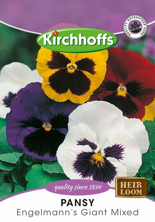 Pansy Engelmann's Giants Mixed