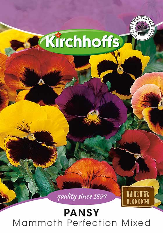 Pansy Mammoth Perfection Mixed