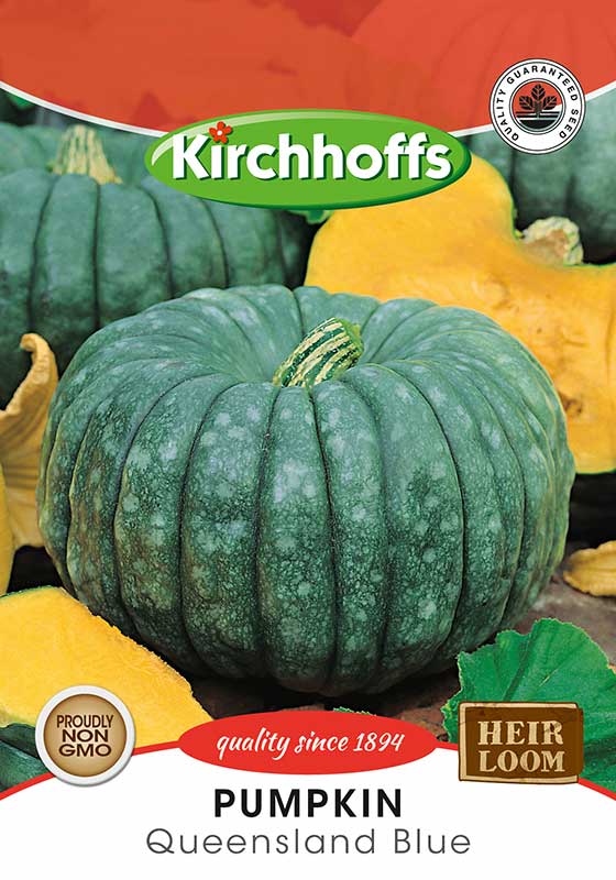 Pumpkin Queensland Blue