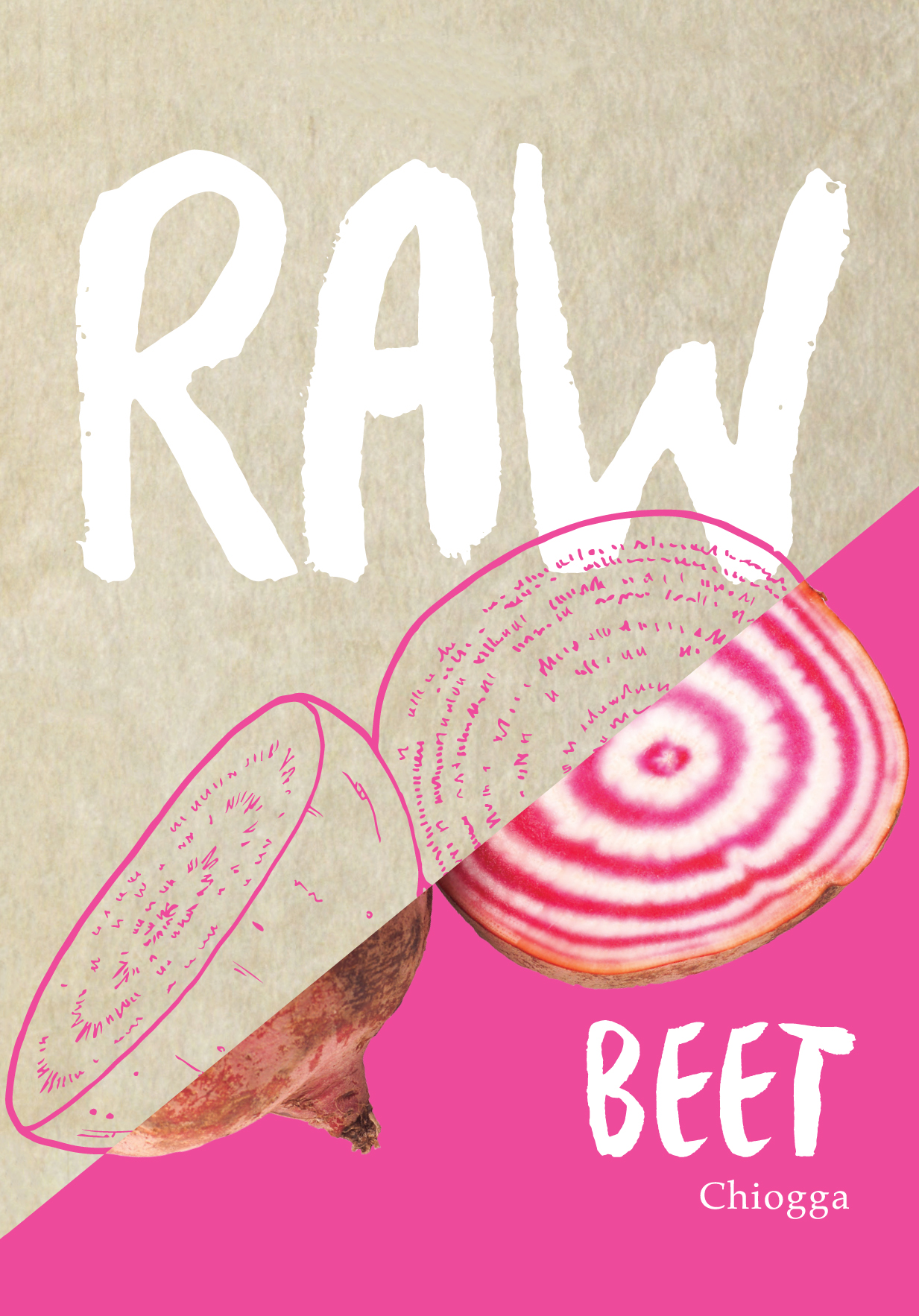 Beetroot Chioggia Guardsmark Seed