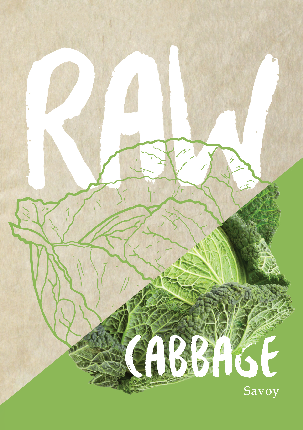 Cabbage Savoy Perfection Seed