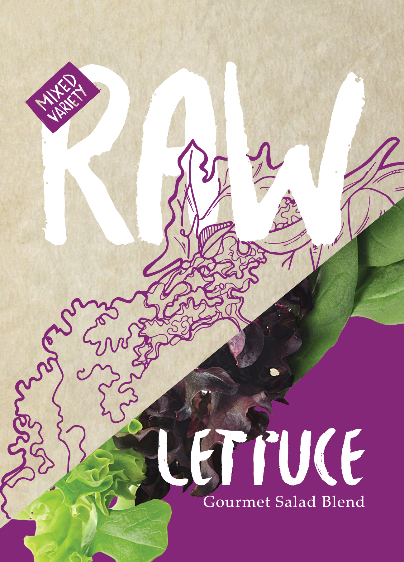 Lettuce Gourmet Salad Blend Seed