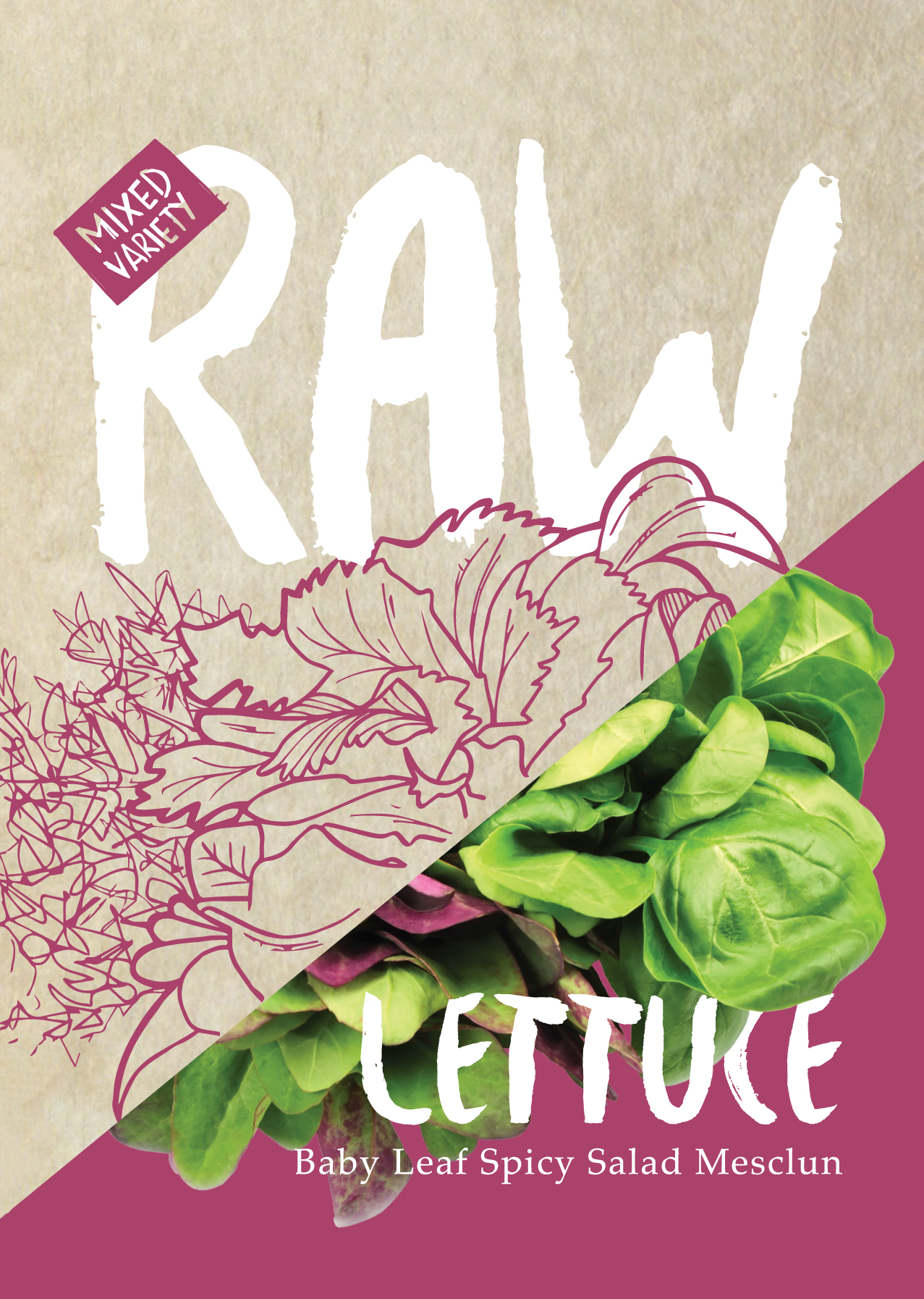 Lettuce Mesclun Spicy Salad Seed