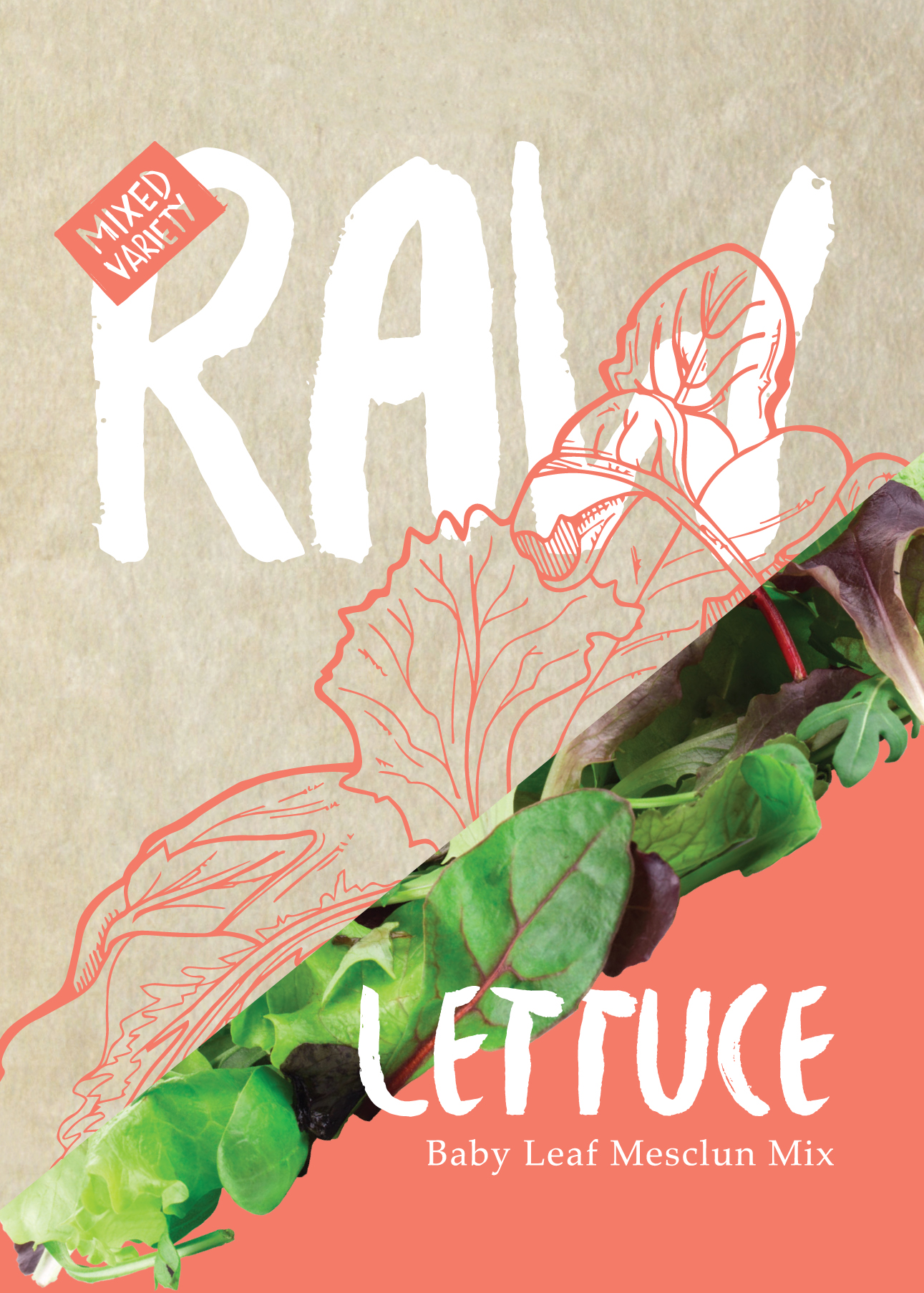 Lettuce Mesclun Mix Seed