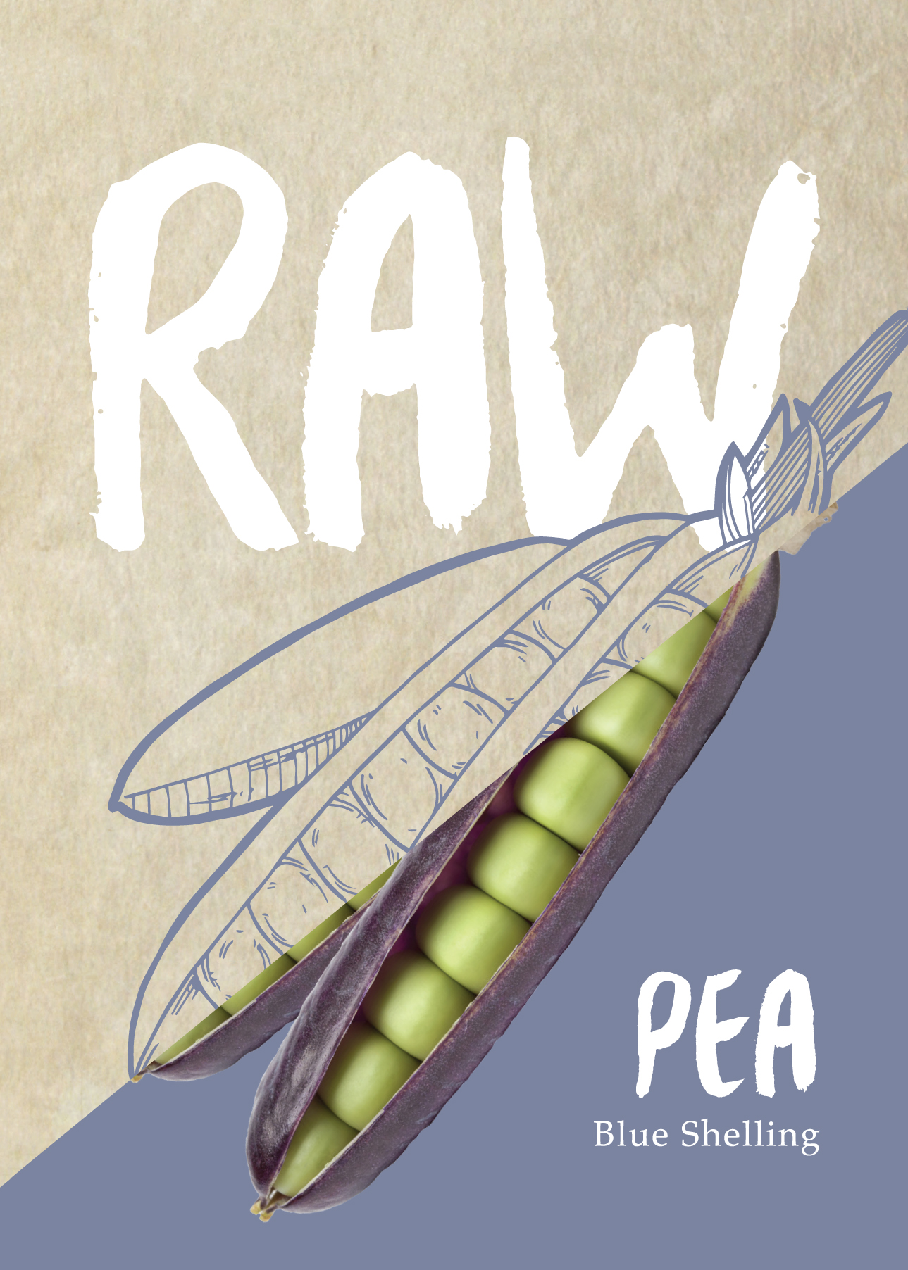 Peas Ezethas Krombek Blauwschok (Blue Shelling) Seed