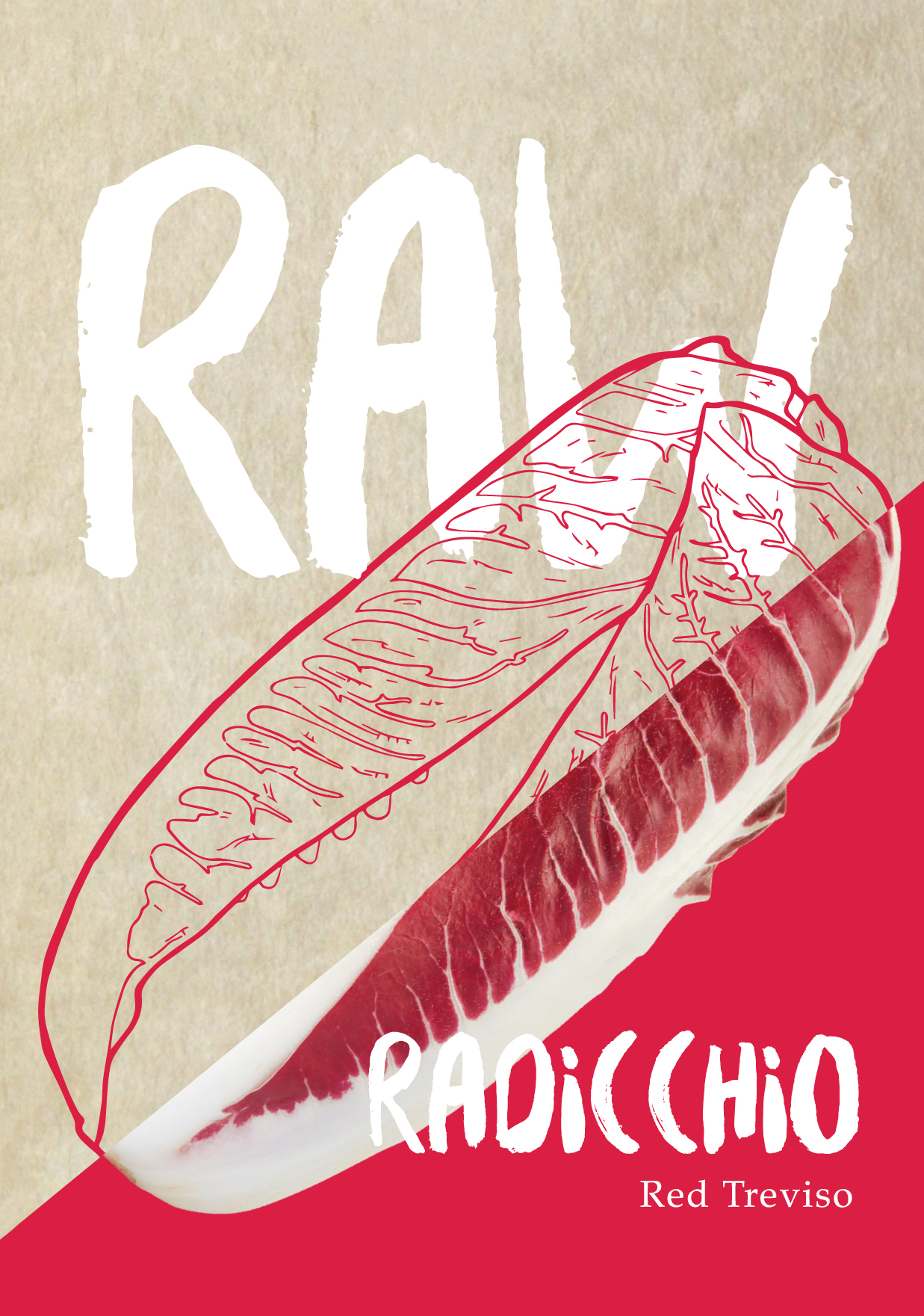 Radicchio Rossa Treviso Red Seed