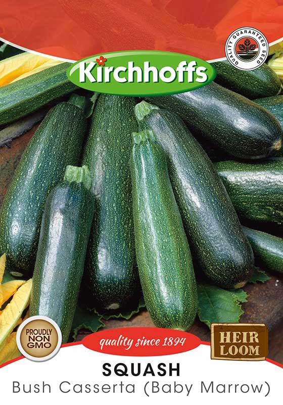 Squash Bush Caserta (Baby Marr