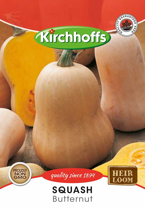 Squash Butternut