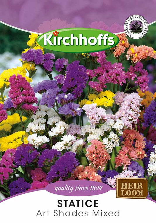 Statice Art Shades Mixed