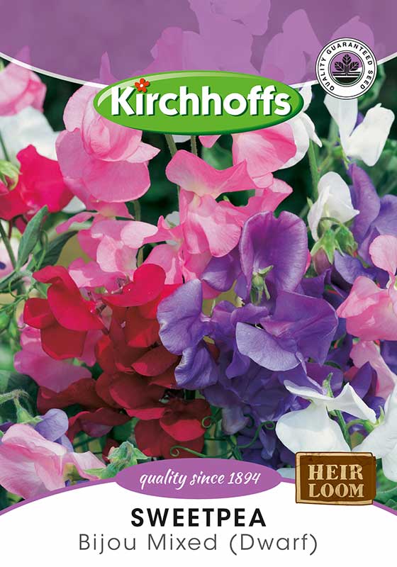 Sweetpea Bijou Mixed (Dwarf)