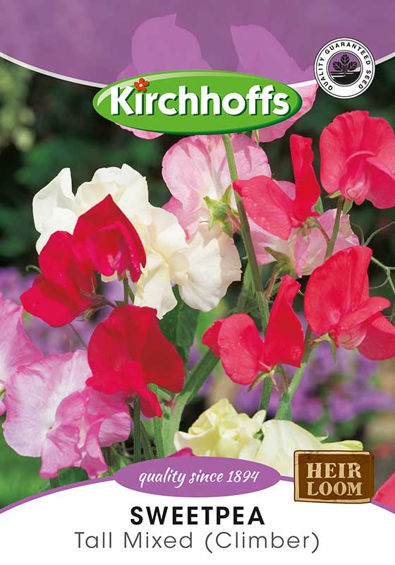 Sweetpea Mammoth  Tall Mixed (Climber)