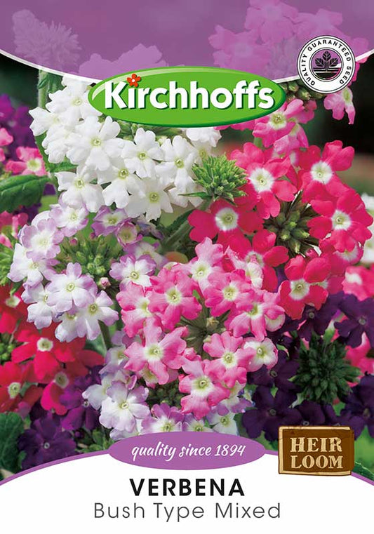 Verbena Bush Type Mixed