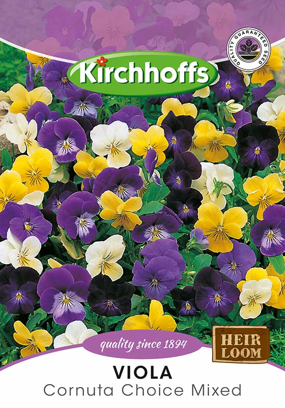 Viola Cornuta Choice Mixed