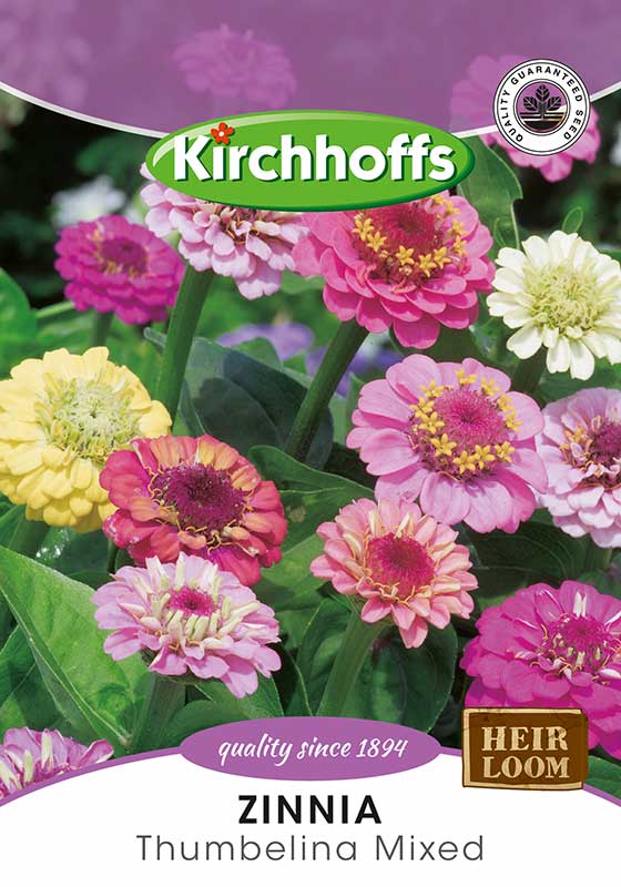 Zinnia Thumbelina Mixed
