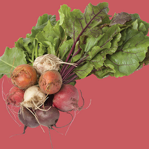 Beet Rainbow Blend