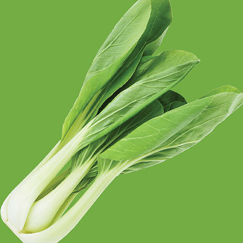 Pak Choi White Stemmed Seed