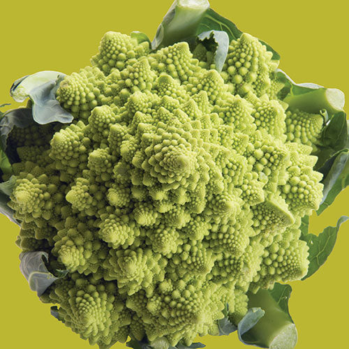 Cauliflower Romanesco