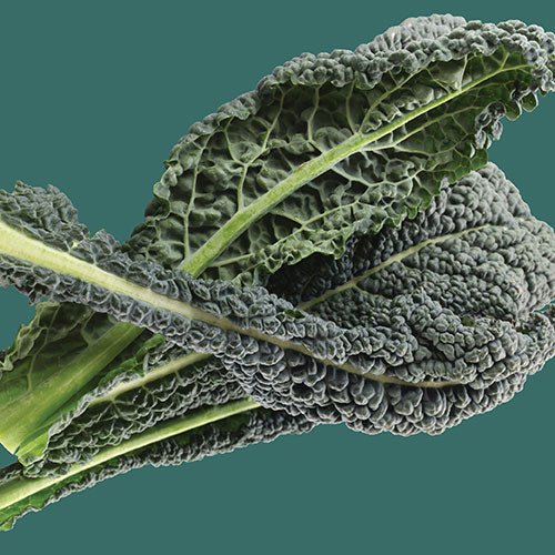 Kale Dinosaur